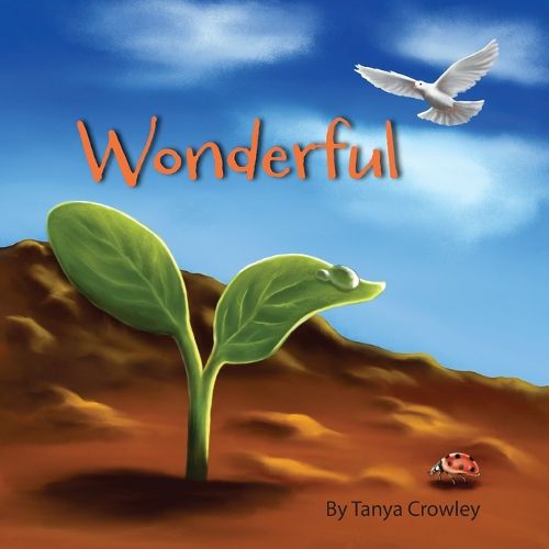 Cover image for Wonderful