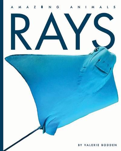 Cover image for Rays