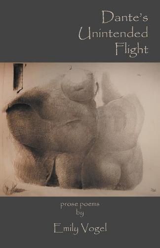 Cover image for Dante's Unintended Flight