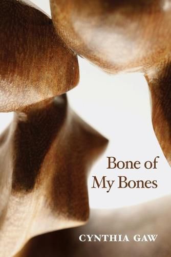 Cover image for Bone of My Bones