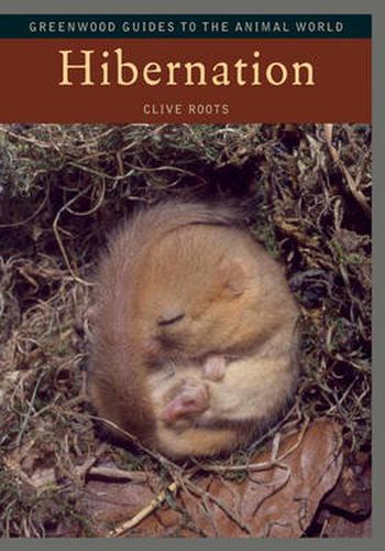 Cover image for Hibernation