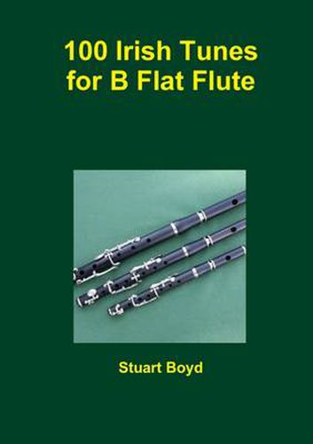 Cover image for Irish Tunes for B Flat Flute