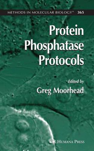 Cover image for Protein Phosphatase Protocols