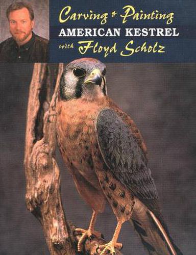 Cover image for Carving & Painting American Kestrel