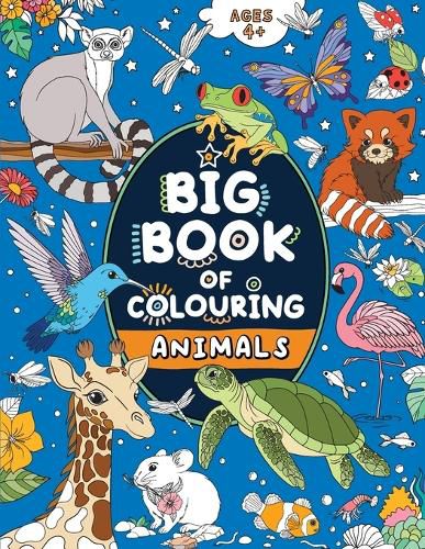 Cover image for Big Book of Colouring