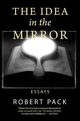 Cover image for The Idea in the Mirror