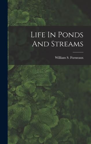 Life In Ponds And Streams