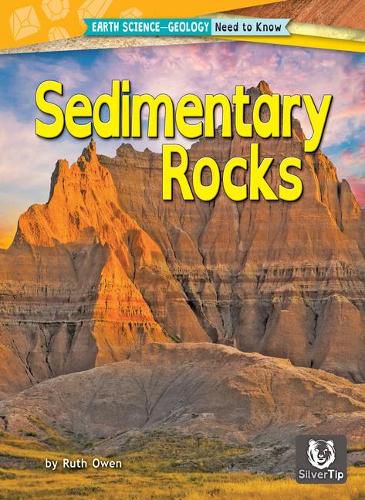 Cover image for Sedimentary Rocks