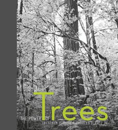 Cover image for The Power of Trees