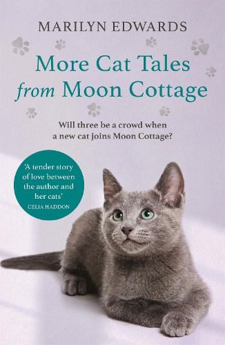 Cover image for More Cat Tales From Moon Cottage