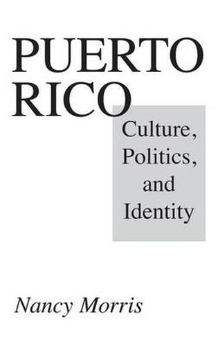 Cover image for Puerto Rico: Culture, Politics, and Identity