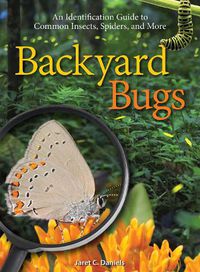 Cover image for Backyard Bugs: An Identification Guide to Common Insects, Spiders, and More