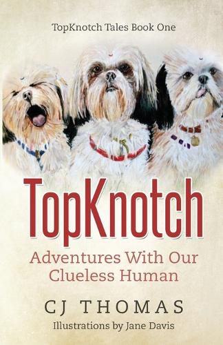 Cover image for TopKnotch