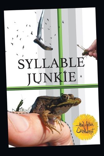 Cover image for Syllable Junkie