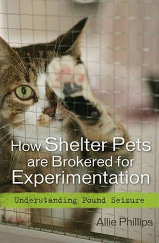 Cover image for How Shelter Pets are Brokered for Experimentation: Understanding Pound Seizure