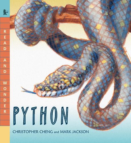 Cover image for Python