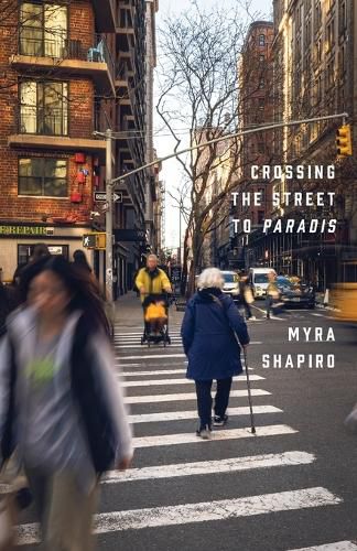 Cover image for Crossing the Street to Paradis