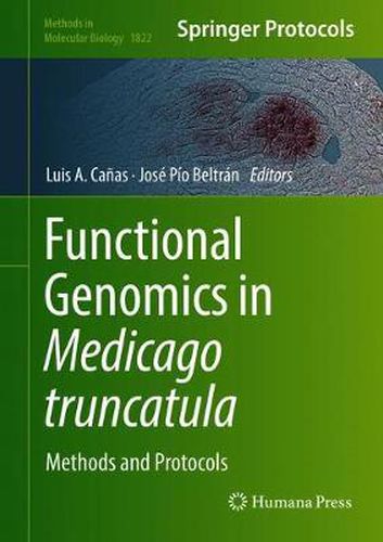 Cover image for Functional Genomics in Medicago truncatula: Methods and Protocols