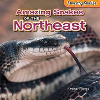 Cover image for Amazing Snakes of the Northeast