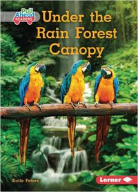 Cover image for Under the Rain Forest Canopy