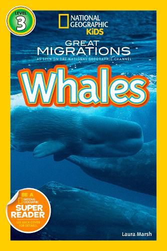 Cover image for National Geographic Readers Great Migrations: Whales