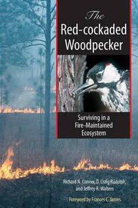 Cover image for The Red-cockaded Woodpecker: Surviving in a Fire-Maintained Ecosystem