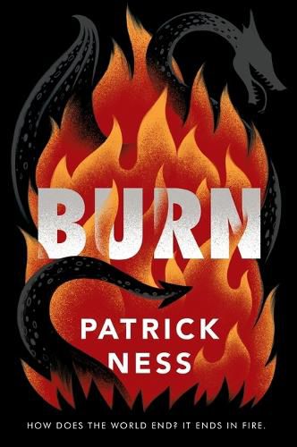 Cover image for Burn