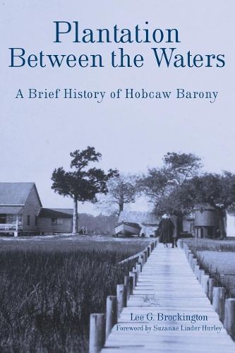 Cover image for Plantation Between the Waters: A Brief History of Hobcaw Barony