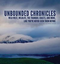 Cover image for Unbounded Chronicles (Hardcover)