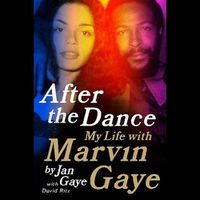 Cover image for After the Dance Lib/E: My Life with Marvin Gaye