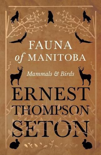 Cover image for Fauna of Manitoba - Mammals and Birds