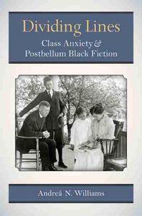 Cover image for Dividing Lines: Class Anxiety and Postbellum Black Fiction