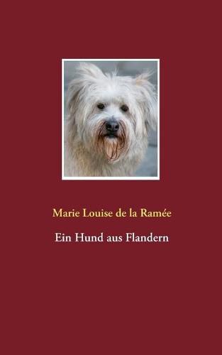 Ein Hund aus Flandern