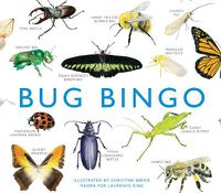 Cover image for Bug Bingo