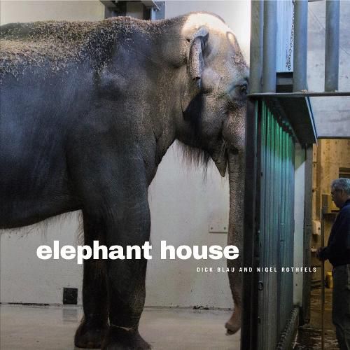 Cover image for Elephant House