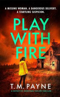 Cover image for Play With Fire