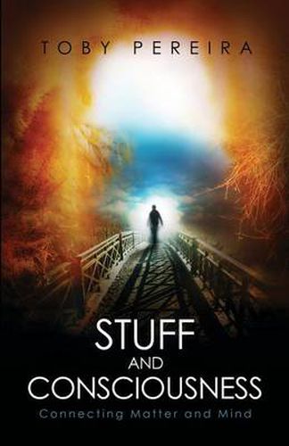 Cover image for Stuff and Consciousness