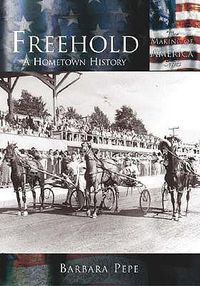 Cover image for Freehold: A Hometown History
