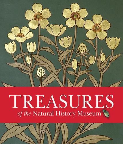 Cover image for Treasures of the Natural History Museum: Pocket Edition