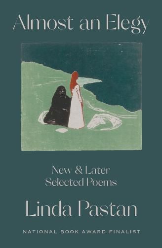 Cover image for Almost an Elegy: New and Later Selected Poems