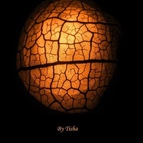 Cover image for The Shorstors A Collection of Musings