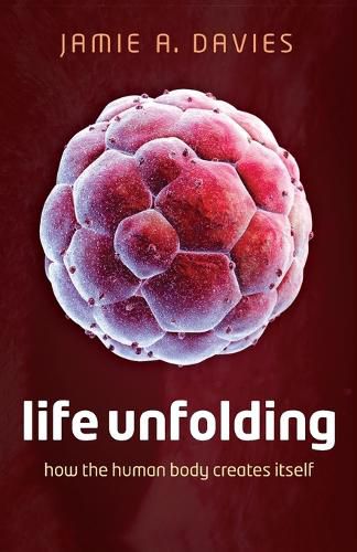 Cover image for Life Unfolding: How the human body creates itself