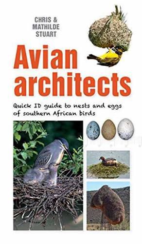 Avian Architects: Quick ID Guide to Nests and Eggs of Southern African Birds