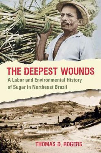 Cover image for The Deepest Wounds: A Labor and Environmental History of Sugar in Northeast Brazil