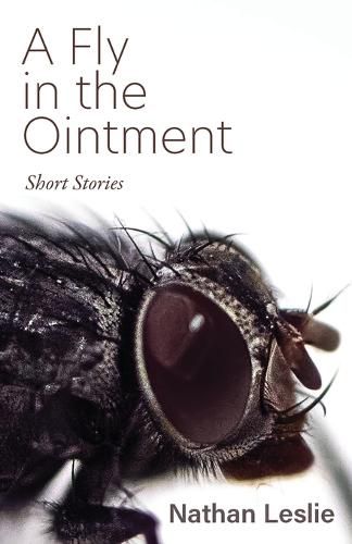 Cover image for A Fly in the Ointment