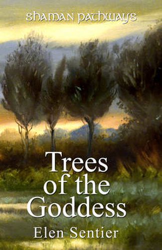 Cover image for Shaman Pathways - Trees of the Goddess: A New Way of Working with the Ogham