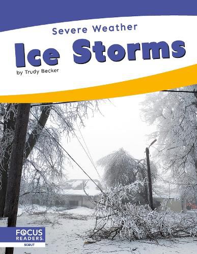 Cover image for Ice Storms
