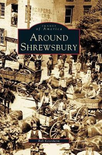 Cover image for Around Shrewsbury