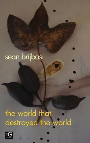 Cover image for The world that destroyed the world: a poem