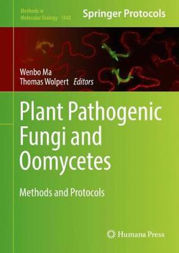 Cover image for Plant Pathogenic Fungi and Oomycetes: Methods and Protocols